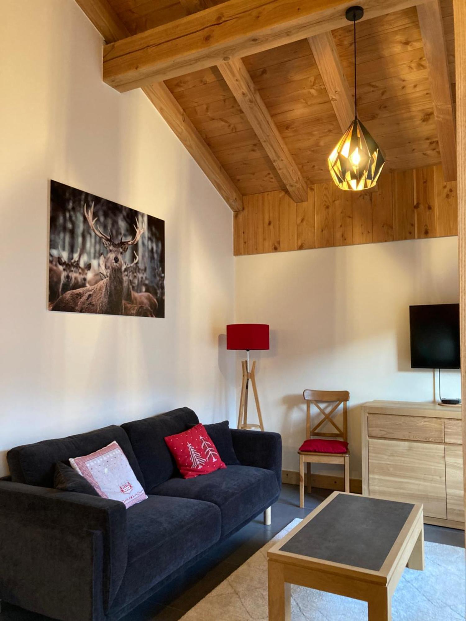Appartement Reve De Montagne 萨莫安斯 外观 照片