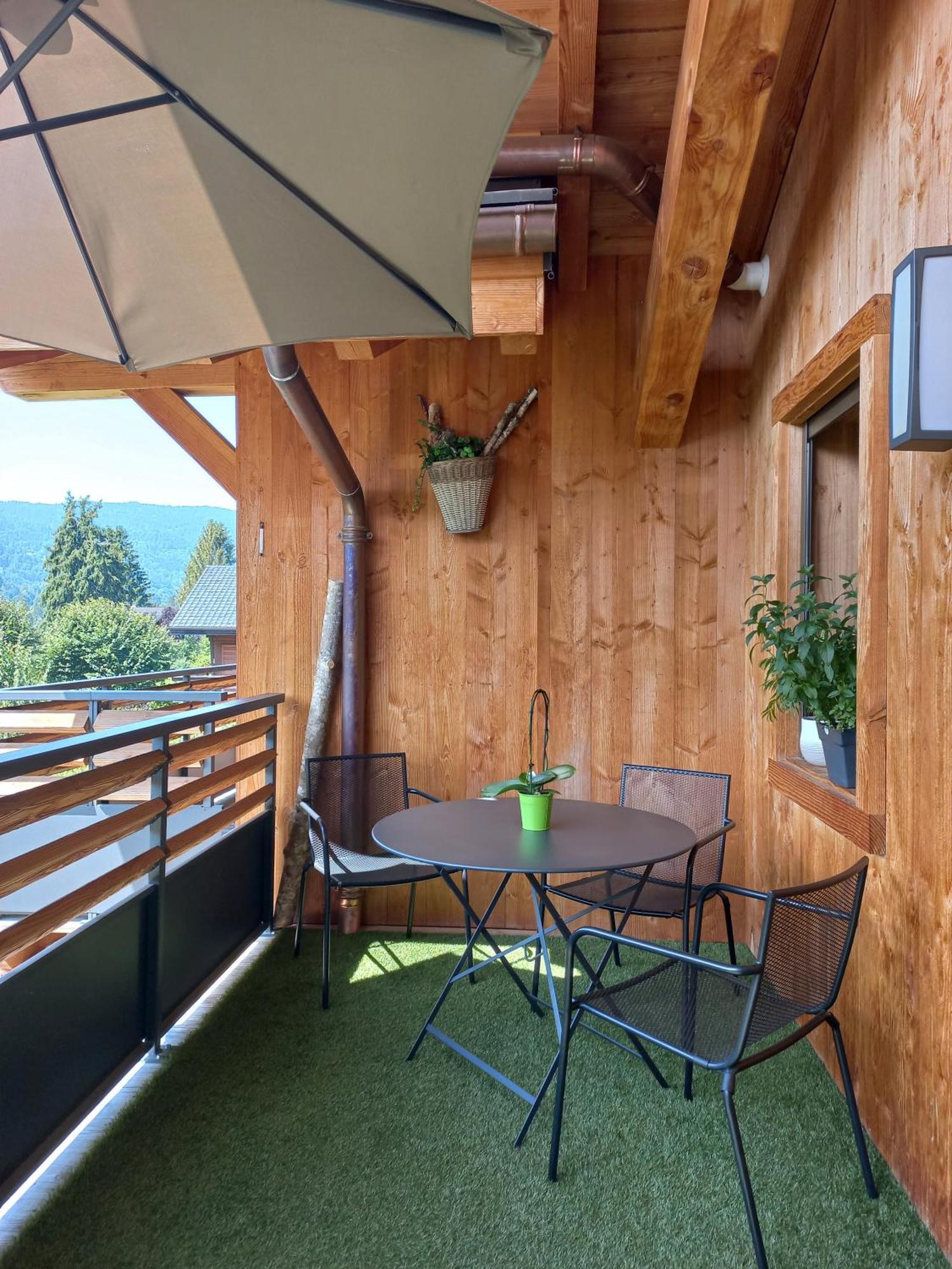 Appartement Reve De Montagne 萨莫安斯 外观 照片